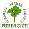 Fundación Consuelo